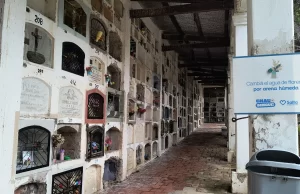 Cementerios municipales: recomiendan usar arena húmeda en floreros para combatir el Dengue. VIDEO/FOTOS