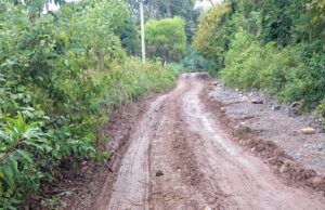 SAETA informa la interrupción de servicios hacia Sumalao y Las Moras