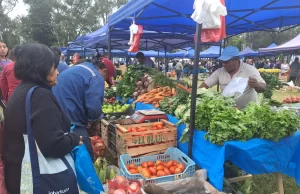 “El mercado en tu barrio”, más de 15 mil vecinos aprovecharon las ofertas. VIDEO/FOTOS