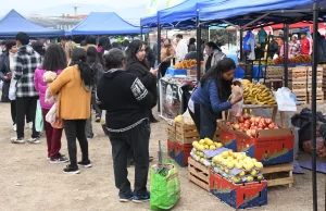 Masiva asistencia de vecinos a la edición de “El mercado en tu barrio” en Roberto Romero. VIDEO/FOTOS