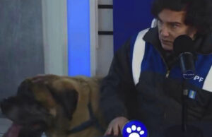 Javier Milei fue a una entrevista con su perro Conan y volvió a criticar duro a Kicillof y a periodistas
