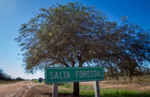 El proyecto del PEP sobre Salta Forestal, pasó a Comisiones de Diputados para su tratamiento