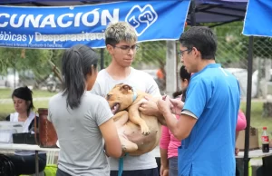La Municipalidad acerca sus servicios a zona norte. FOTOS