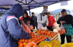 «El Mercado en tu Barrio» llega a Santa Lucía. VIDEO/FOTOS