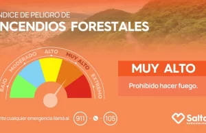 El viento cesó pero el alerta por incendios forestales continúa. FOTOS