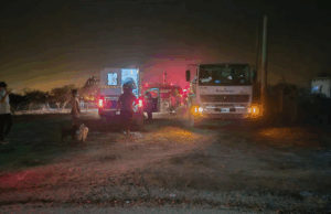 Ciudad: el municipio intervino en más de 74 incidentes ocasionados por el viento