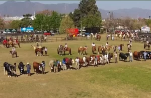 Este jueves arranca la edición número 81 de la Expo Rural Salteña (con entrada gratuita)