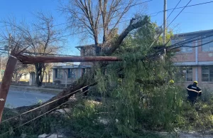Distintas áreas municipales trabajaron para atender incidentes provocados por el viento. FOTOS