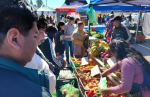 Récord de ventas en “El mercado en tu barrio” en Santa Lucía. VIDEO/FOTOS