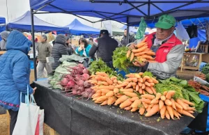 Vecinos de zona norte aprovecharon las ofertas de «El mercado en tu barrio». FOTOS