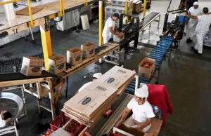 Los salvatajes recurrentes muestran la fragilidad financiera de Milei – *Por: Hernán P. Herrera