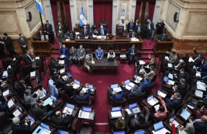 Revés para el Gobierno: en una sesión histórica, el Senado rechazó definitivamente el veto a la ley de discapacidad