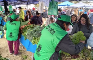 “El Mercado en tu Barrio” llega a Ciudad del Milagro con descuentos de hasta el 30%. FOTOS