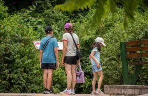 Más de 21 mil turistas visitaron Salta durante el fin de semana largo por la Diversidad Cultural