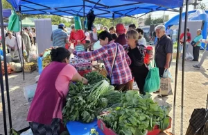 Este miércoles el «Mercado en tu Barrio» vuelve a la UNSa