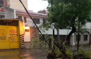 La Municipalidad intervino en más de 30 incidentes tras la tormenta. FOTOS