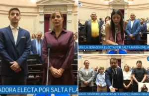 Senado de la Nación: juraron los tres representantes electos por la provincia de Salta