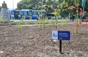 La Municipalidad ejecuta tareas de parquización en espacios verdes de la ciudad. VIDEO/FOTOS