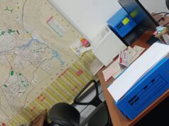 Reflexiones Citadinas: Empleado Público, un servidor público… – Por: Alejandra Segura