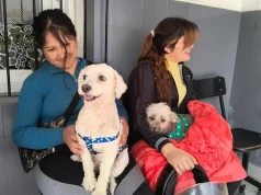 Bienestar Animal registró más de 110 mil prestaciones y un récord de adopciones. FOTOS