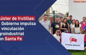 Clúster de frutillas: el Gobierno impulsa la vinculación agroindustrial con Santa Fe