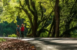 Salta ofrece una amplia agenda de actividades para el verano