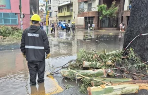 La Municipalidad refuerza operativos tras el fuerte temporal en la ciudad. FOTOS