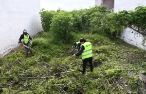 En barrio Loteo Las Marías se desmalezó y limpió un terreno en mal estado. VIDEO/FOTOS
