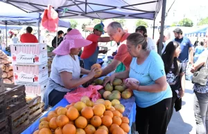 Este viernes 6 vuelve «El Mercado en tu Barrio» en Miguel Ortiz. VIDEO/FOTOS