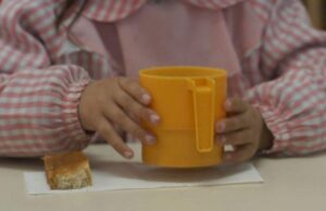 Ciclo Lectivo 2026: alrededor de 85 mil chicos recibirán la Copa de Leche