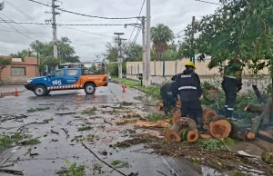 El municipio desplegó varios operativos para minimizar efectos de la lluvia. VIDEO/FOTOS
