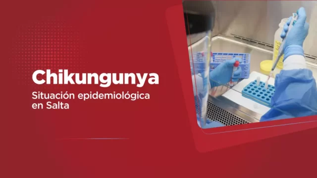 chikunga