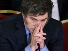 Milei: un presidente demasiado lejos… – Por: Daniel Salmoral
