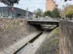 La Municipalidad realizó limpieza y desalojo en dos canales de la ciudad. VIDEO/FOTOS