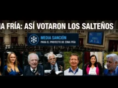 Cómo votaron los diputados salteños el proyecto que recorta subsidios al gas
