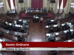 Senado: sanción definitiva a la reforma electoral en Salta
