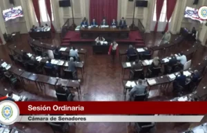 Senado: sanción definitiva a la reforma electoral en Salta