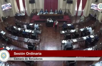 Senado: sanción definitiva a la reforma electoral en Salta