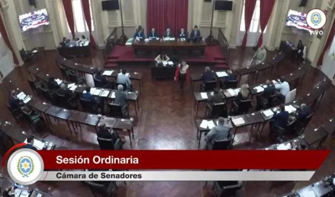 Senado: sanción definitiva a la reforma electoral en Salta