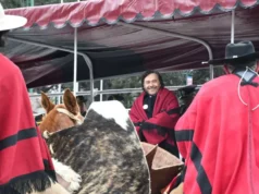Sáenz en los homenajes a Güemes: “Debemos tomar su ejemplo y defender los intereses de la Patria y de los salteños», VIDEOS/FOTOS