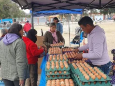 “El Mercado en tu barrio” llega al Delmi con precios imperdibles y servicios municipales. FOTOS