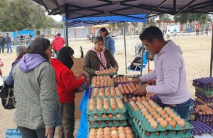 “El Mercado en tu barrio” llega al Delmi con precios imperdibles y servicios municipales. FOTOS