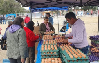 “El Mercado en tu barrio” llega al Delmi con precios imperdibles y servicios municipales. FOTOS