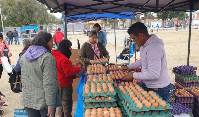 “El Mercado en tu barrio” llega al Delmi con precios imperdibles y servicios municipales. FOTOS