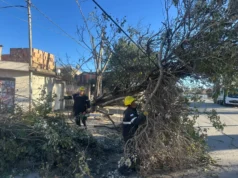 La Municipalidad intervino en 135 incidentes por el viento y el fuego. FOTOS