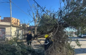La Municipalidad intervino en 135 incidentes por el viento y el fuego. FOTOS
