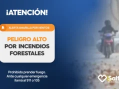 La Municipalidad solicita aumentar los cuidados por un alerta de incendios forestales. FOTOS
