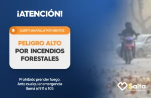 La Municipalidad solicita aumentar los cuidados por un alerta de incendios forestales. FOTOS