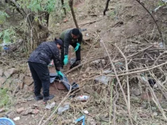 Se concretó una nueva limpieza en el cerro San Bernardo para brindar mayor seguridad. VIDEO/FOTOS