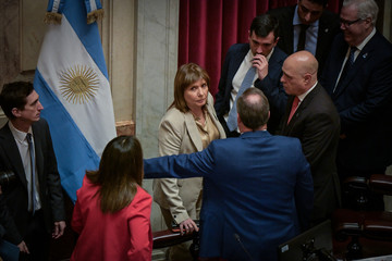 SenadoSesiónPatricia BullrichFoto Federico Lopez Claro